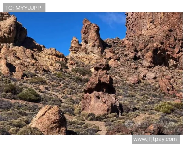 大加那利与特内里费比赛是否取消最新消息及原因分析